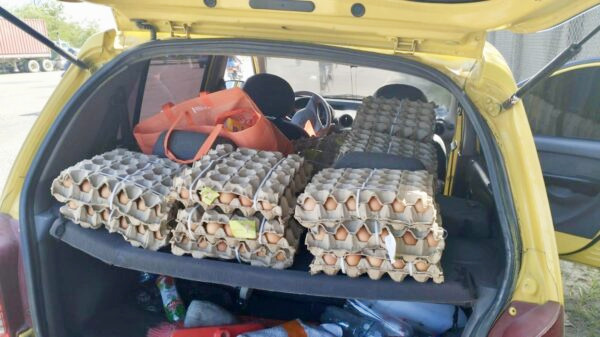 Cultivar Cartagena charity organization | Image of donated food to the families in the Cartagena